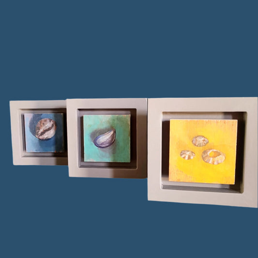 Three small shell studies by Julia Laing