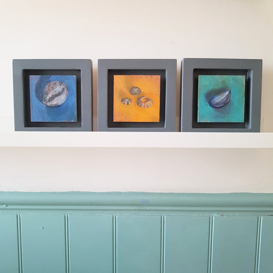 Three small shell study paintings