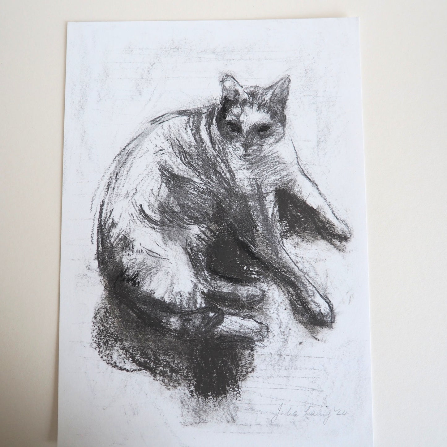 Charcoal drawing of a cat on white A4 paper lying on a cream background.