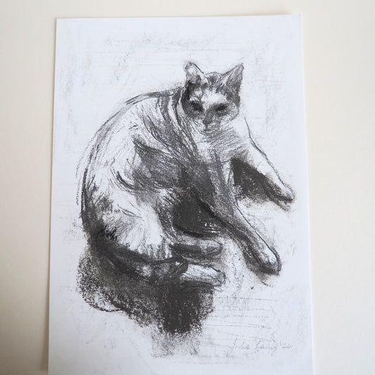 Charcoal drawing of a cat on white A4 paper lying on a cream background.