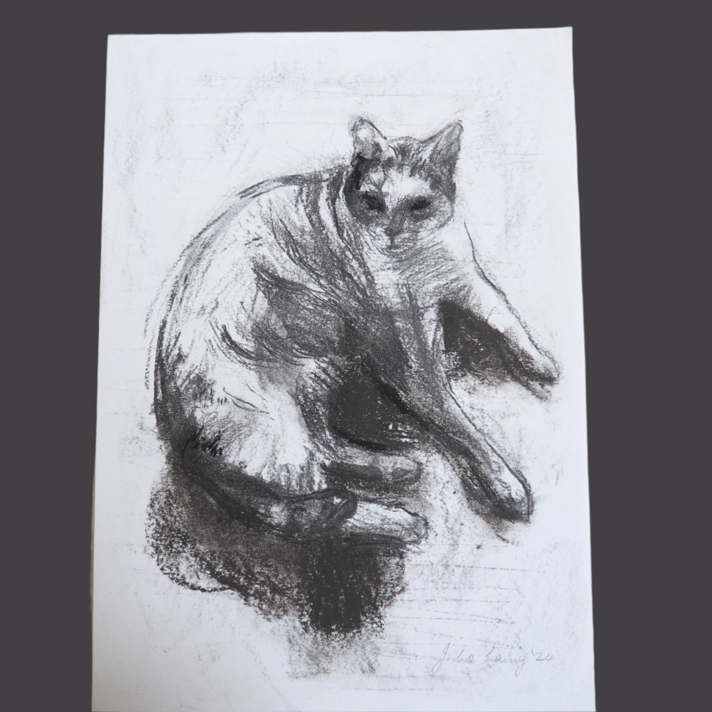 Charcoal drawing of a cat on white A4 paper against a dark grey background.