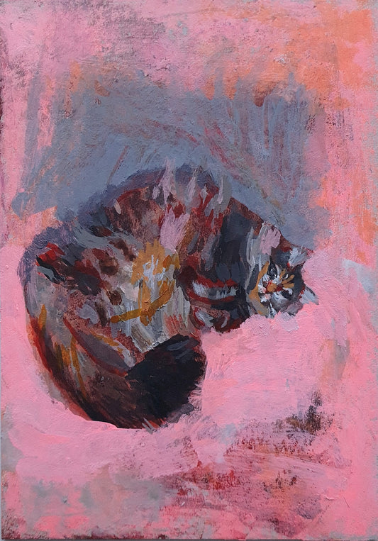 Contemporary cat painting in acrylics on card by Julia Laing. A long haired tabby cat is lying on a pink background. It's painted in an expressive style.