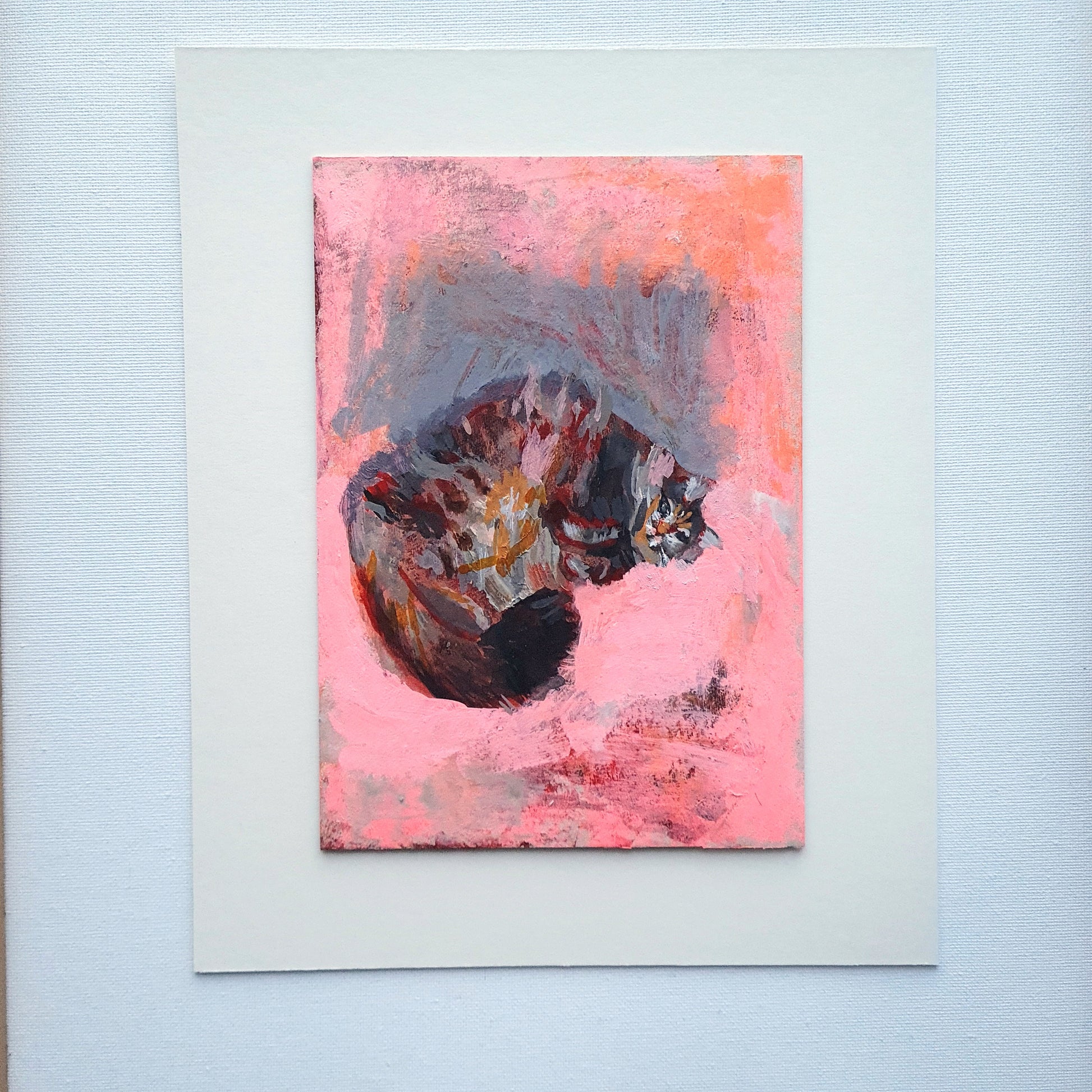 Small painting of a cat by Julia Laing. The cat is curled up on a pink background. The mounted artwork is lying on a white background.