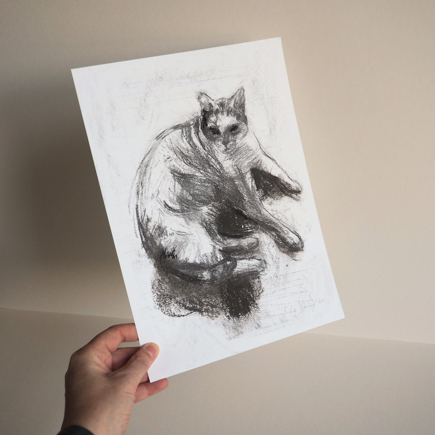 Charcoal drawing of a cat on white paper being held up against a cream background. A white woman's hand is visible in the bottom left of the picture.