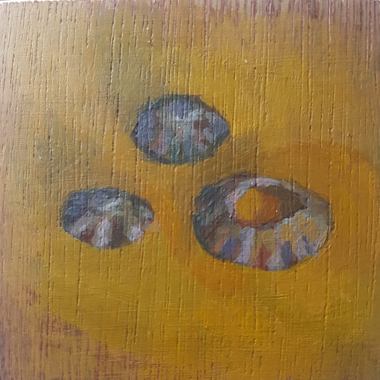 Study of Three Shells -  Small Original Painting