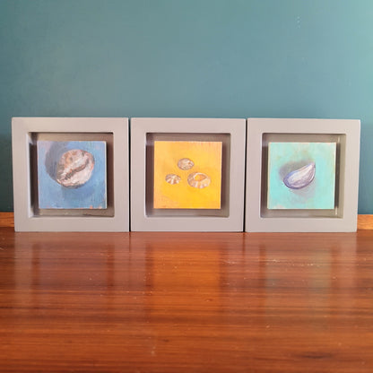 Curated Group of 3 Framed Shell Paintings