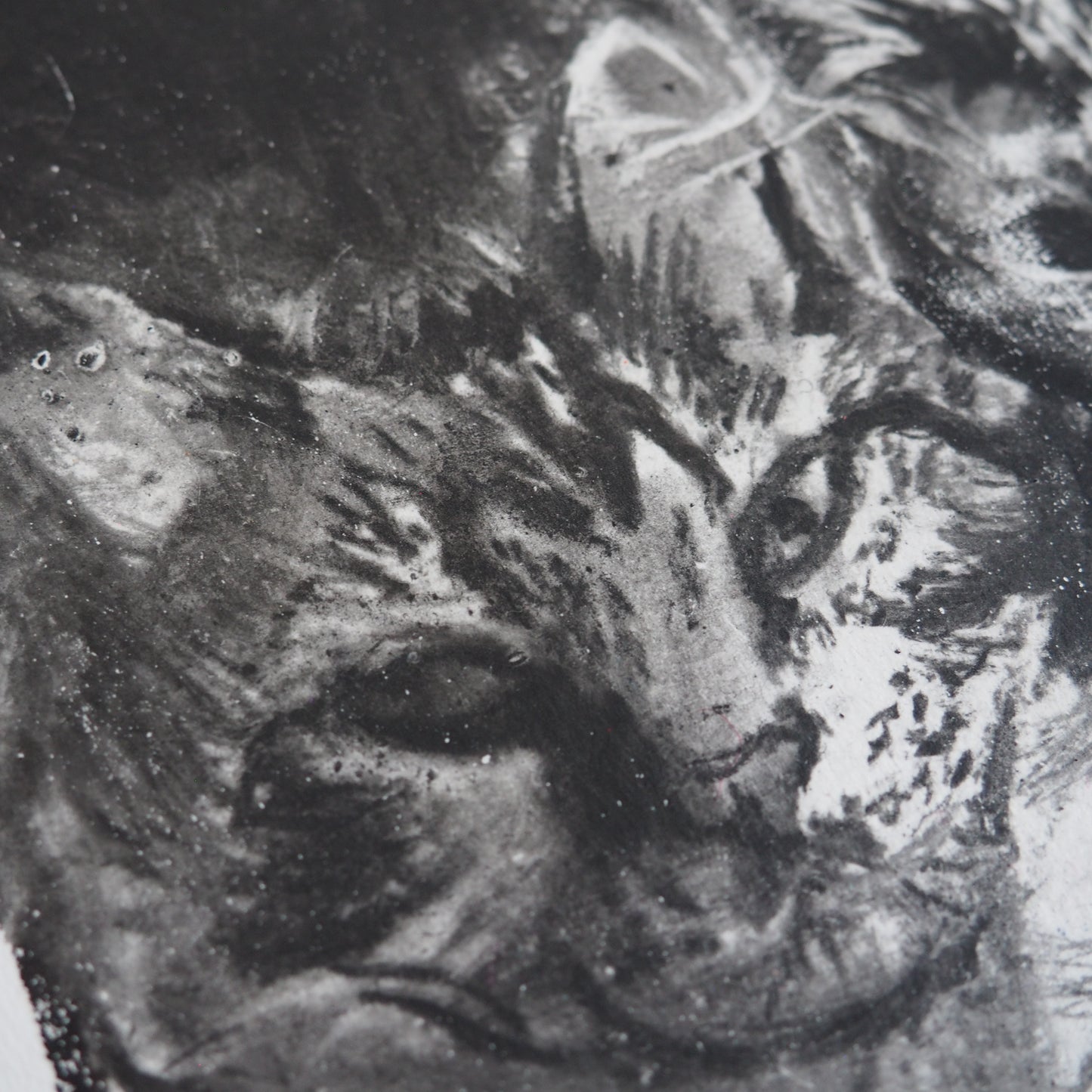 Charcoal Monoprint Artwork on Paper of Two Cats 'Double Trouble'