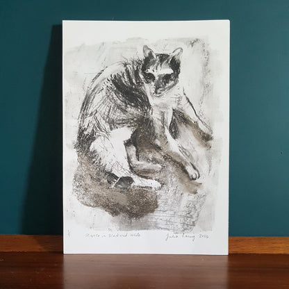 Charcoal Mono Print on Paper 'Marco Cat in Black and White'