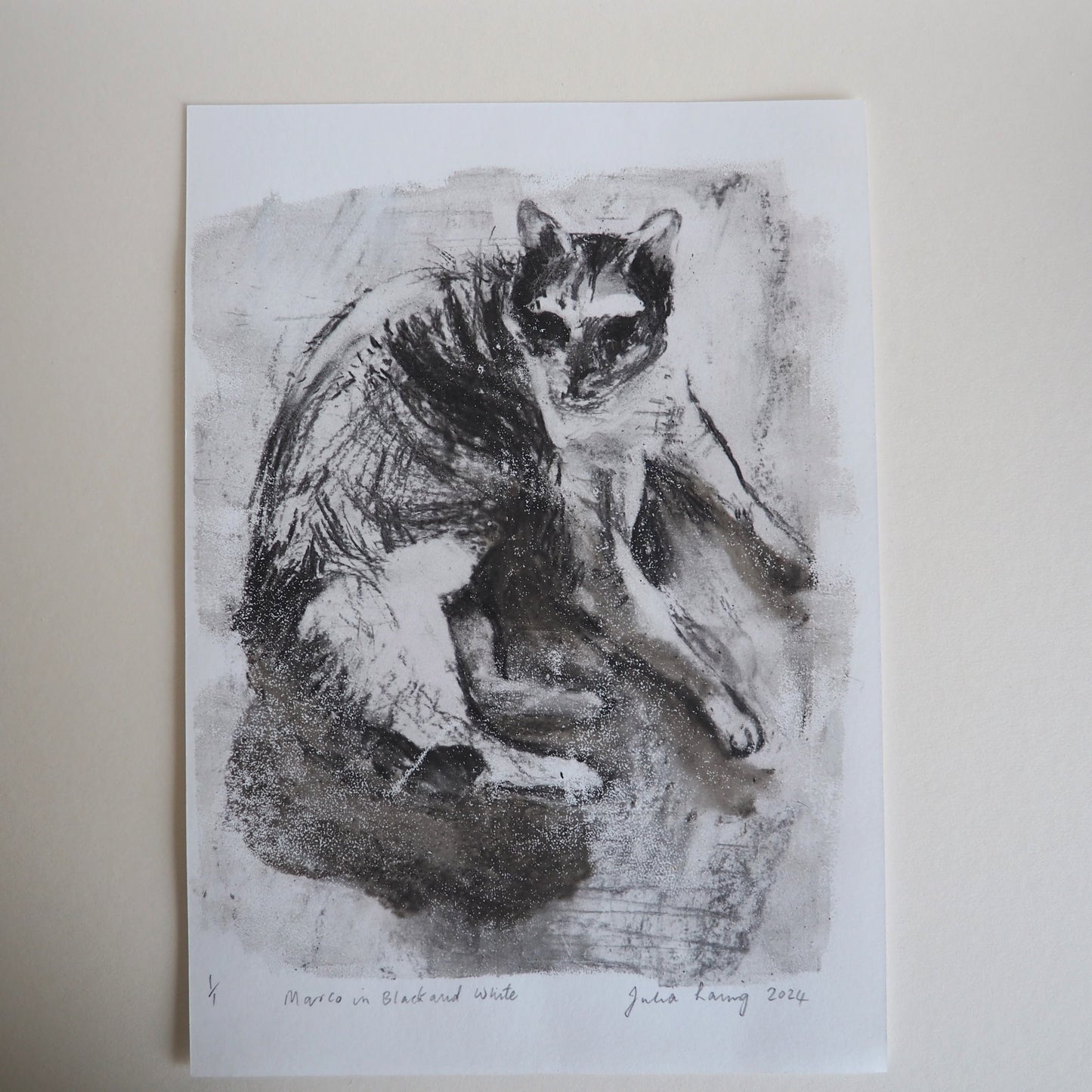 Charcoal Mono Print on Paper 'Marco Cat in Black and White'