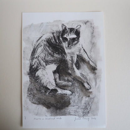 Charcoal Mono Print on Paper 'Marco Cat in Black and White'