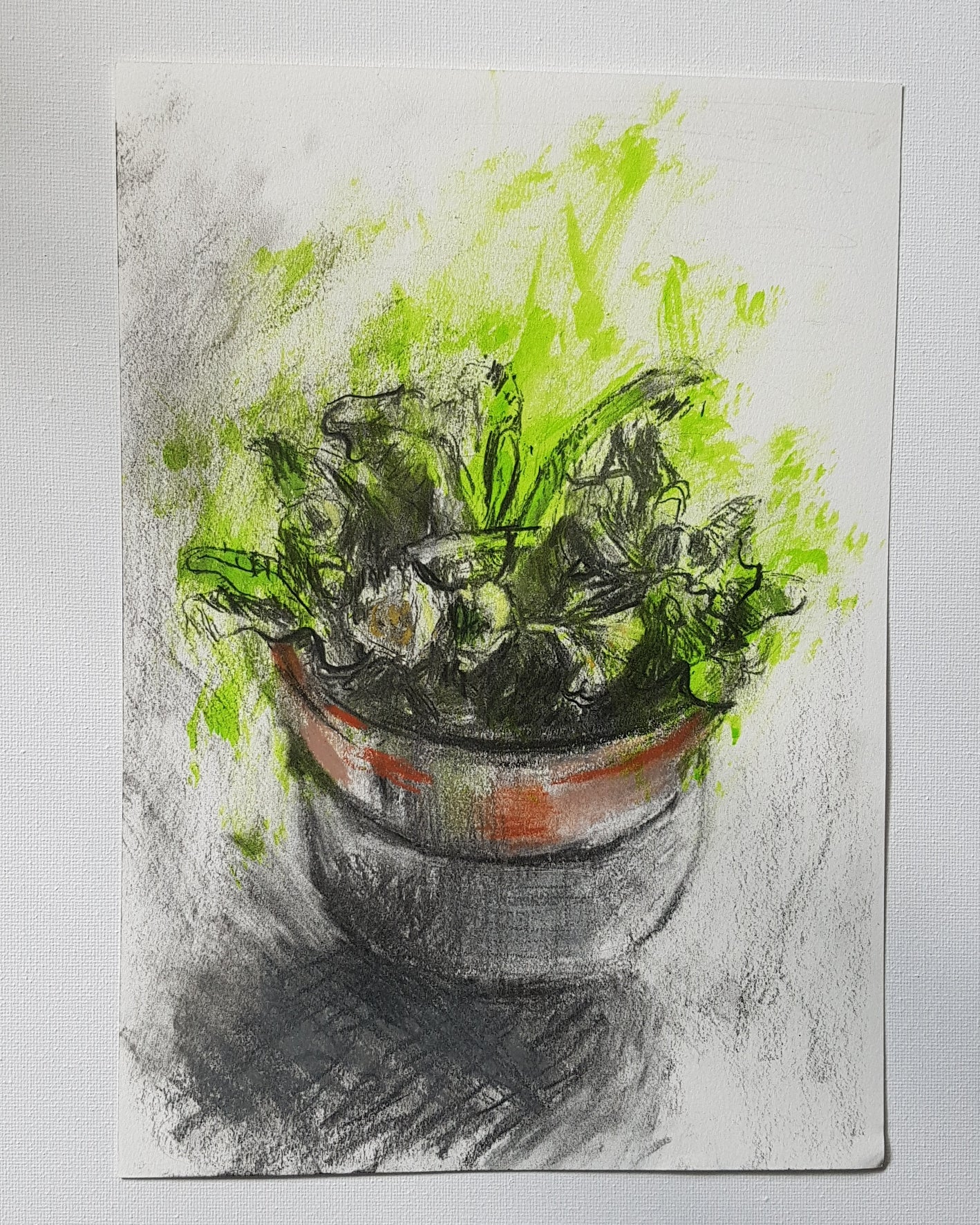A4 size drawing of potted plant by Julia Laing, against a white background.